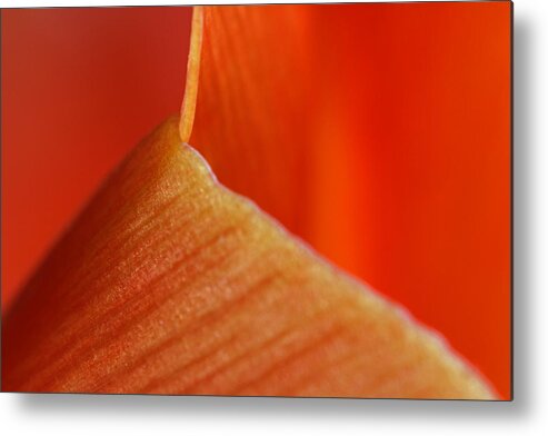 Abstract Metal Print featuring the photograph Red Surge by Juergen Roth