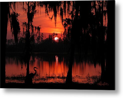 Florida Metal Print featuring the photograph Red Swamp by Renee Sullivan