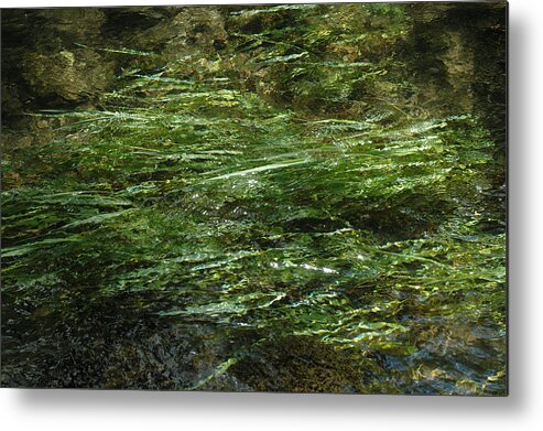 Rural Landscape Metal Print featuring the photograph Reeds River Lathkill Litton by Jerry Daniel