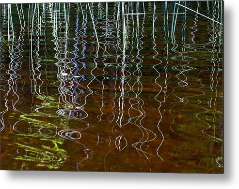 Water Metal Print featuring the photograph Reeds by Tasha ONeill