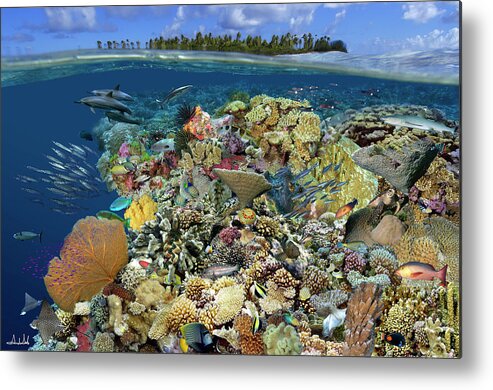 Marine Life Metal Print featuring the digital art Reef Magic by Artesub