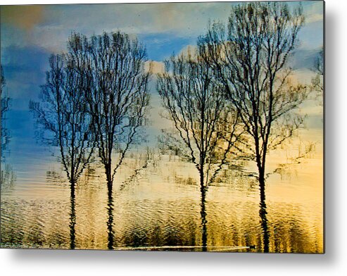 Landscape Metal Print featuring the photograph Reflections by Adriana Zoon