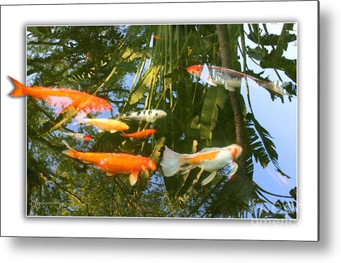 Fish Metal Print featuring the photograph Reflections in a Koi Pond by Mariarosa Rockefeller