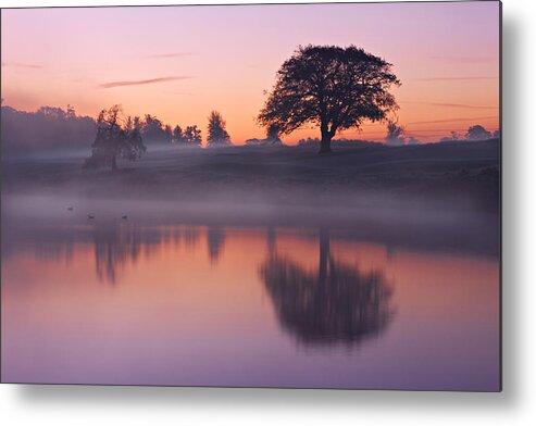 Tree Metal Print featuring the photograph Reflections in a Lake at Dawn / Maynooth by Barry O Carroll
