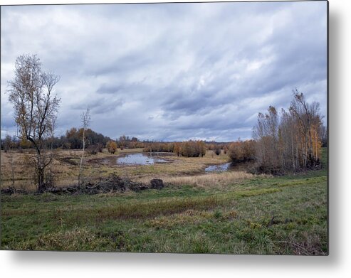 Sauvie Island Metal Print featuring the photograph Refuge No 1 by Belinda Greb