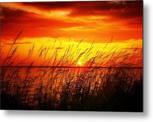 Sunset Metal Print featuring the photograph Reservoir Sunset 3 by Jim Albritton