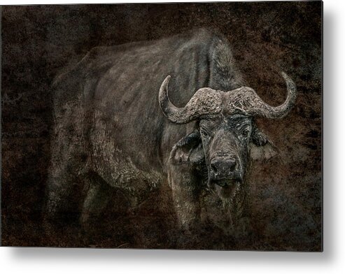 Africa Metal Print featuring the photograph Retired General by Mike Gaudaur