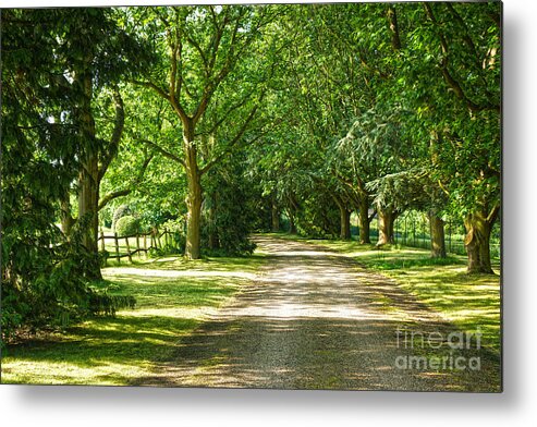 Trees Metal Print featuring the digital art Rickety Fence by Andrew Middleton