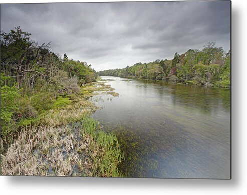 Feb0514 Metal Print featuring the photograph River In Ocala National Forest Florida by Scott Leslie