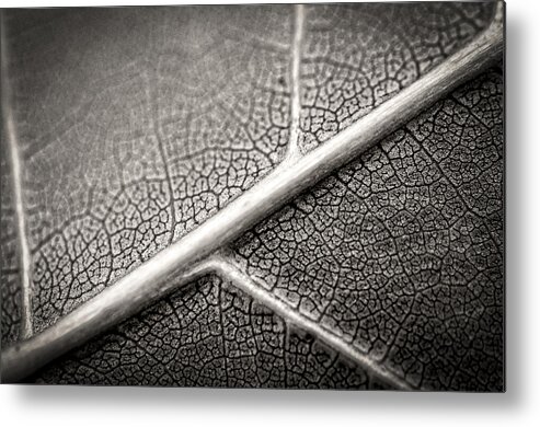 B&w Metal Print featuring the photograph Road Map Of A Restless Mind by Sandra Parlow