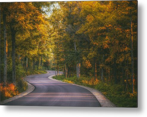 Blacktop Metal Print featuring the photograph Road to Cave Point by Scott Norris