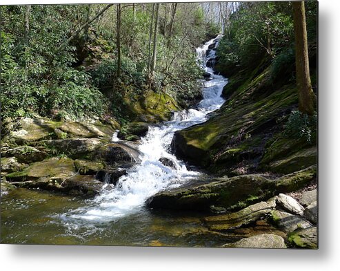Pisgah National Forest Metal Print featuring the photograph Roaring Fork Falls - Spring 2013 by Joel Deutsch