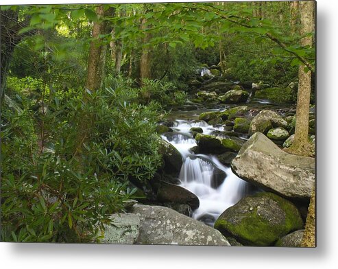 Color Metal Print featuring the photograph Roaring Fork by Nunweiler Photography