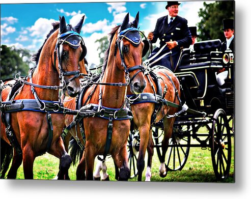 Carriage Driving Metal Print featuring the photograph Robert Bowman carriage driving by Meirion Matthias