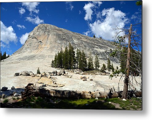 Half Dome Metal Print featuring the photograph Rock and trees by RicardMN Photography