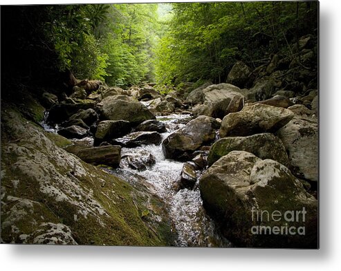 Blue Ridge Metal Print featuring the photograph Rocky Creek by Jonathan Welch