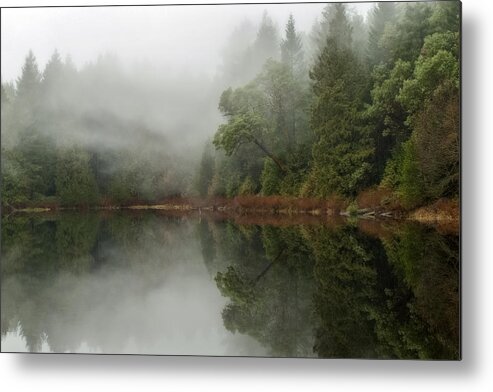 Fog Metal Print featuring the photograph Rolling In by Inge Riis McDonald
