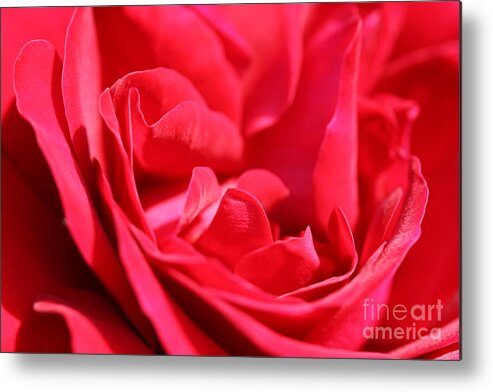 Rose Metal Print featuring the photograph Rose Abstract by Christiane Schulze Art And Photography