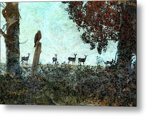 Wildlife Metal Print featuring the photograph Rose Hill - Autumn by Ed Hall