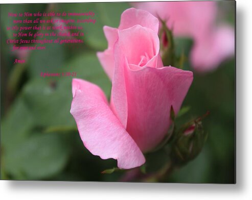 Rose Metal Print featuring the photograph Rose With Scripture by Carolyn Ricks