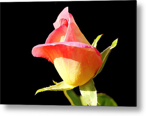 Rosebud Metal Print featuring the photograph Rosebud by Jean Connor