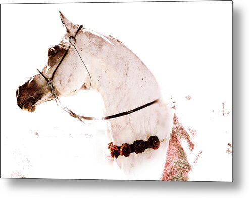 Horse Metal Print featuring the digital art Roses by Janice OConnor