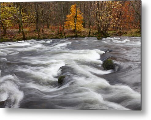 River Rothay Metal Print featuring the photograph Rothay Rapids by Nick Atkin