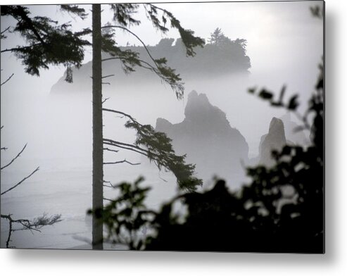 Ruby Beach Metal Print featuring the photograph Ruby Beach Washington State by Greg Reed