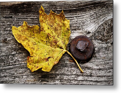 Leaf Metal Print featuring the photograph Rustic Leaf by Andy Smetzer