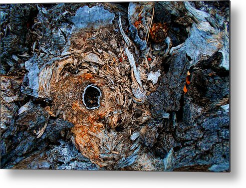 Tree Metal Print featuring the photograph Sacred Circle of Life by Peter Cutler