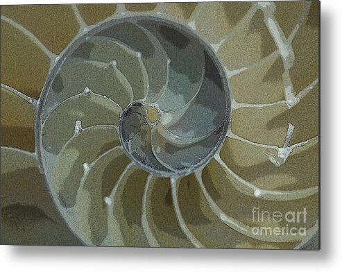 Sacred Spiral Metal Print featuring the photograph Sacred Spiral 6 by Jeanette French