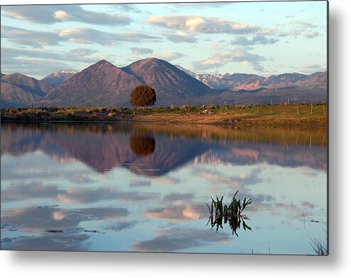 Eric Rundle Metal Print featuring the photograph Saddle Mountain Reflection by Eric Rundle