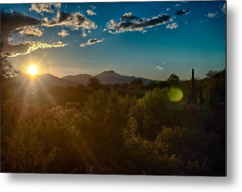 Tucson Metal Print featuring the photograph Saguaro National Park by Dan McManus
