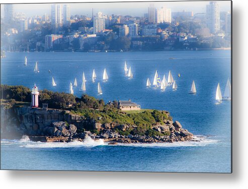 South Head Metal Print featuring the photograph Sails out to play by Miroslava Jurcik