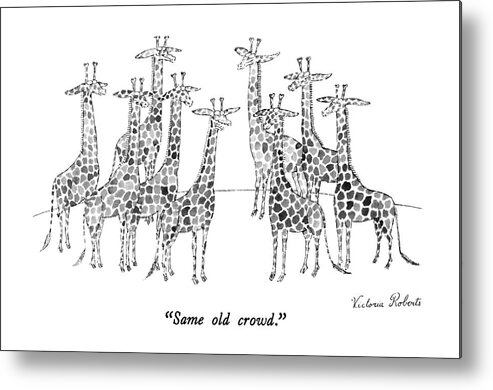 Animals Metal Print featuring the drawing Same Old Crowd by Victoria Roberts