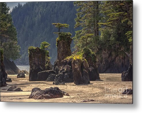 British Columbia Metal Print featuring the photograph San Josef Bay by Carrie Cole