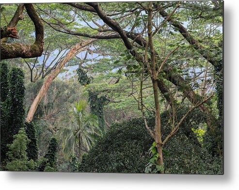 Hawaii Metal Print featuring the photograph Sanctuary by Kristin M Crist