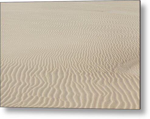 Sand Dune Metal Print featuring the photograph Sand Dunes In Poland by Gosiek-b