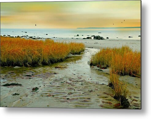 Seascape Metal Print featuring the photograph Sandy Feet by Diana Angstadt