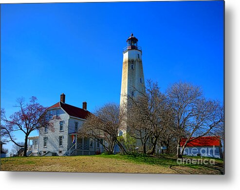 Sandy Metal Print featuring the photograph Sandy Hook Lighthouse and Keepers Quarters by Olivier Le Queinec