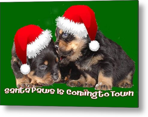 Christmas Metal Print featuring the photograph Santa Paws Is Coming To Town Christmas Greeting by Taiche Acrylic Art