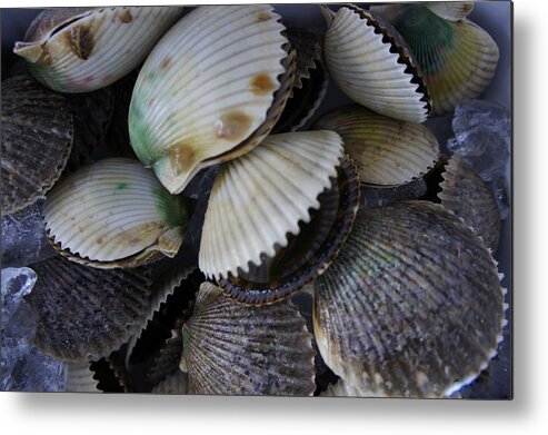 Scalloping Metal Print featuring the photograph Scallops by Laurie Perry