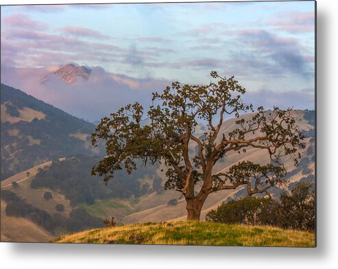 Landscape Metal Print featuring the photograph Scattered Clouds At Sunrise by Marc Crumpler