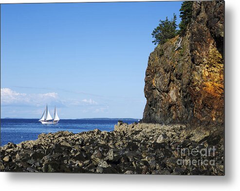 Schooner Metal Print featuring the photograph Schooner sailing in the bay by Diane Diederich