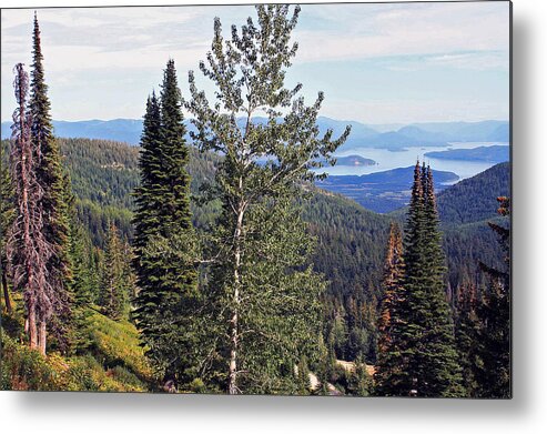 Mountain Metal Print featuring the photograph Schweitzer Mountain 3 by Ellen Tully