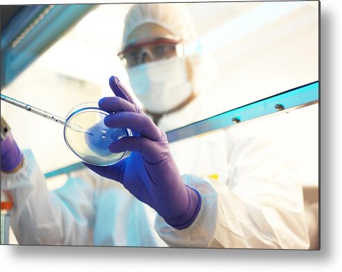 Protective Mask Metal Print featuring the photograph Scientist In A Clean Room by Reptile8488