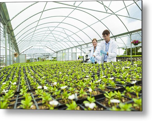Expertise Metal Print featuring the photograph Scientists greenhouse laboratory by Steve Debenport