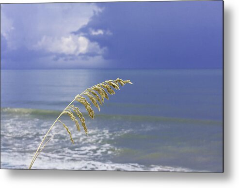 4th Metal Print featuring the photograph Sea Oats Ahead of the Storm by Karen Stephenson