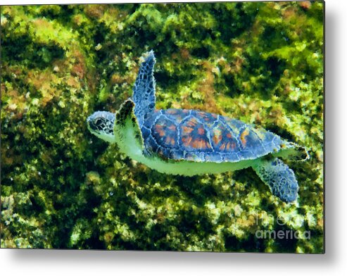 Sea Turtle Metal Print featuring the photograph Sea turtle swimming in water by Dan Friend
