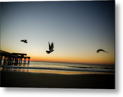 Georgia Metal Print featuring the photograph Seagulls Taking Flight by Anthony Doudt
